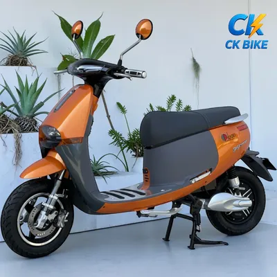 Dibao GoGo Cross G góc 2