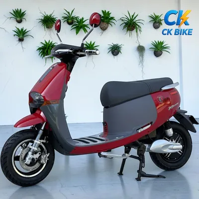 Dibao GoGo Cross G góc 5