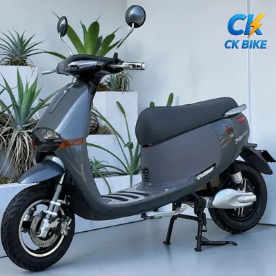 Dibao GoGo Cross G góc 6