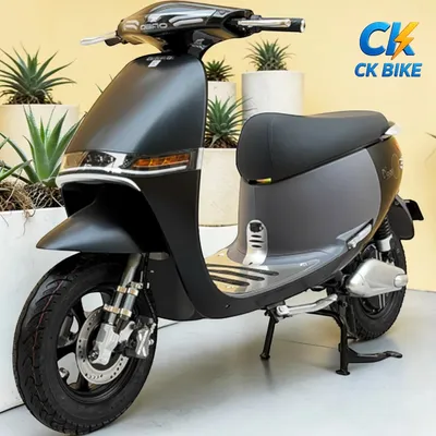 Dibao GoGo Crown góc 2