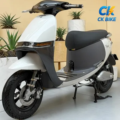 Dibao GoGo Crown góc 3