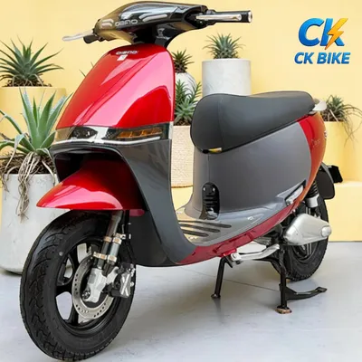Dibao GoGo Crown góc 4