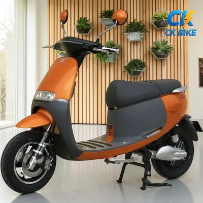 Dibao GoGo S5 tại Xe Điện Công Khang Hải Phòng