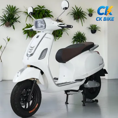 Dibao Pansy S4 góc 9