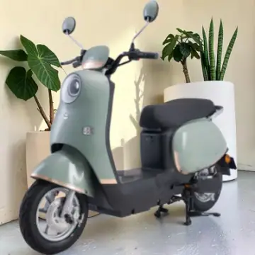 Dibao Rosa tại Xe Điện Công Khang Hải Phòng