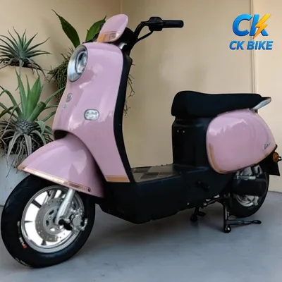 Dibao Rosa góc 5