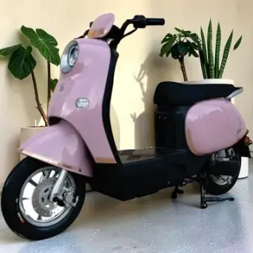 Dibao Rosa góc 6