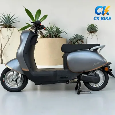 Dibao Rosa góc 6