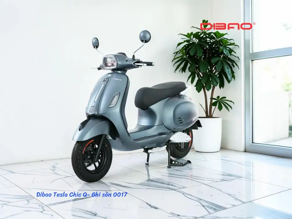 Dibao Tesla Chic Q — xe máy điện tại Xe Điện Công Khang Hải Phòng