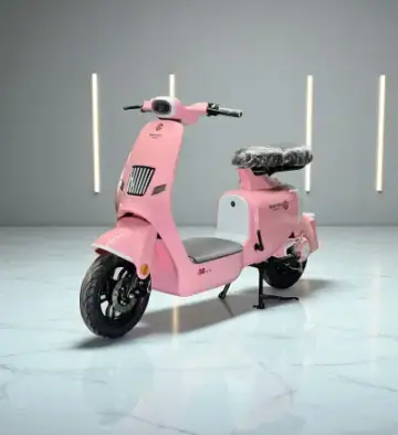 Sonco LV góc 2